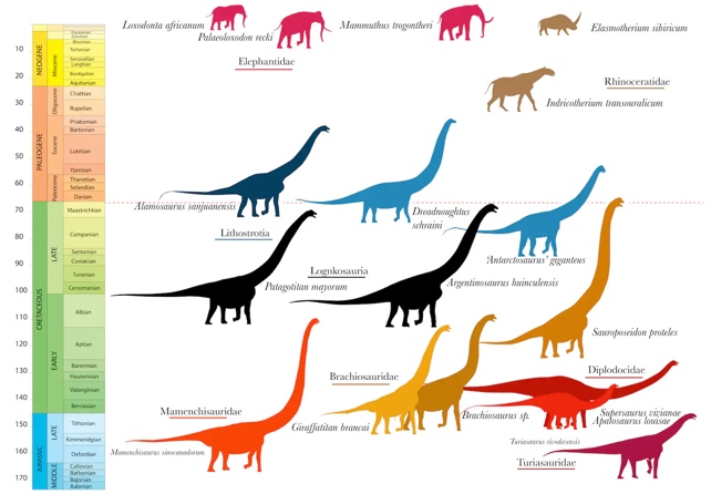 Large dinosaurs and mammals through the timeline