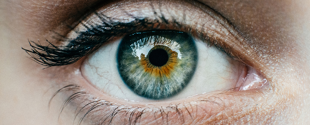 На колко години са очите ти?  Нов „часовник“ може да открие рискове от заболяване: ScienceAlert