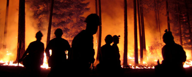A team of firefighters stand in front of the line of fire, silhouetted by the flames.