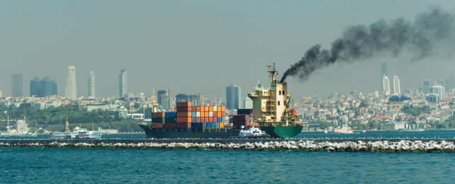 A freighter stocked with shipping containers comes into port.