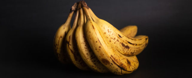 Bright yellow bananas almost glowing against dark backgrounf