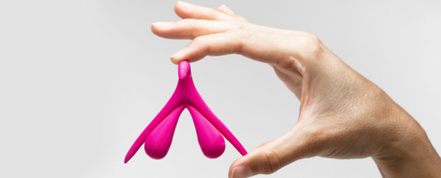 A human hand holds a 3D-printed model of a human clitoris.