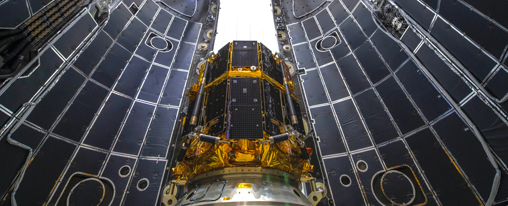 SpaceX는 세계 최초의 민간 달 착륙선인 ScienceAlert를 발사할 준비를 하고 있습니다.