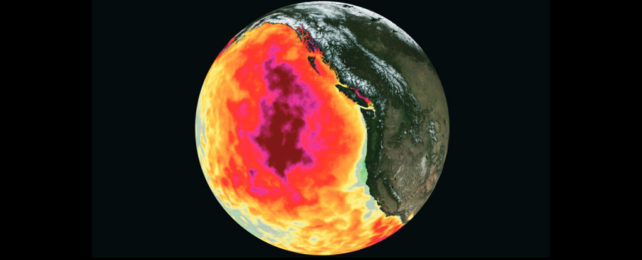 An illustration shows the US Pacific Coast with the ocean colored in gradients of red and yellow to illustration above average temperatures.