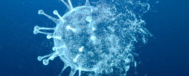 Illustration of SARS-CoV2 viral particle being destroyed, the left-hand side intact with spike proteins and the right-hand side disintegrating.