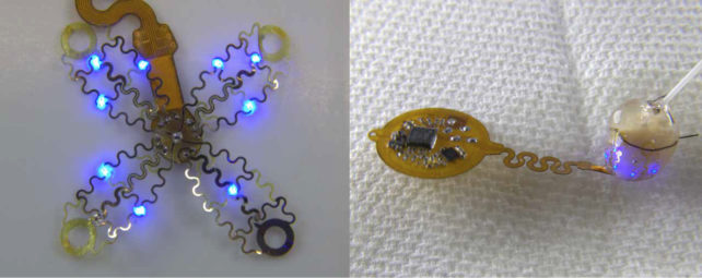 Two pictures showing flower-like array of device, illuminated blue, and attached to a mouse heart.