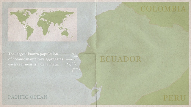 Map of Manta Ray Population