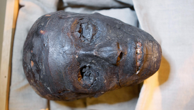 The mummified head of Tutankhamen.