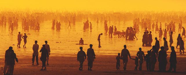 Silhouettes of people on a beach against a yellow background