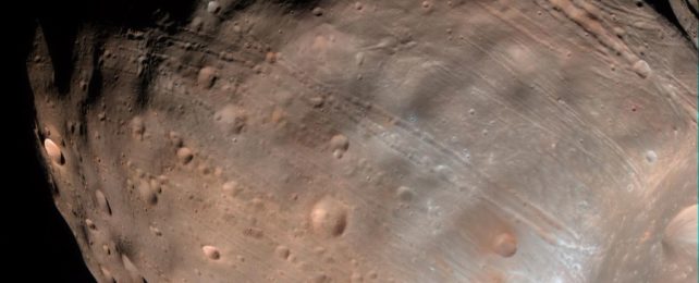 a closeup image of Phobos showing the reddish, cratered surface striped with parallel grooves