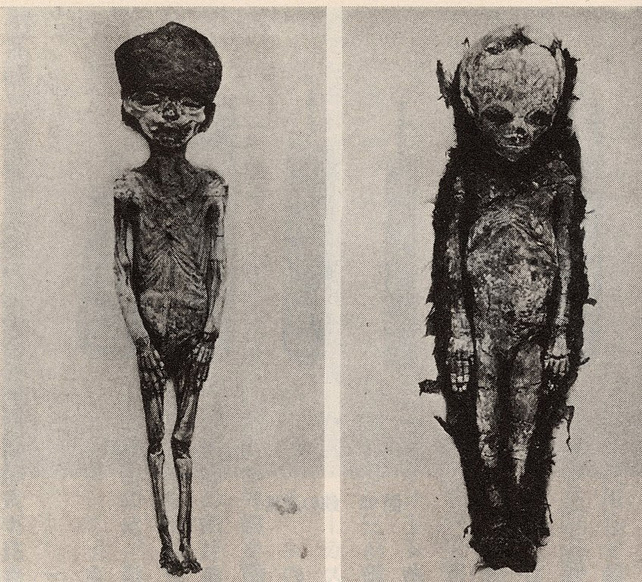 Two mummified fetuses.