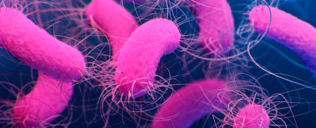 Study Suggests Antibiotic-Resistant Bacteria Could Be More Devious Than We Thoug..
