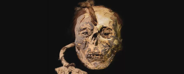 Mummified head of a Peruvian child.