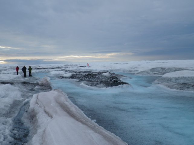 Un gruppo di scienziati in piedi su un ghiacciaio in Groenlandia.