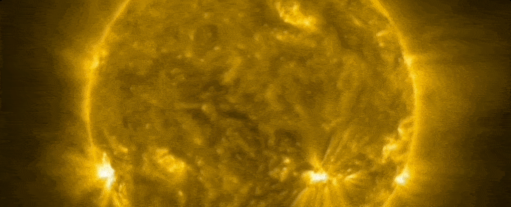 This Insane Video Will Make You Believe There's a Serpent Inside The Sun