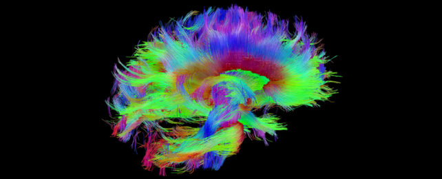 Threads of color forming a brain on black background