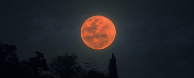 Blood Moon Lunar Eclipse