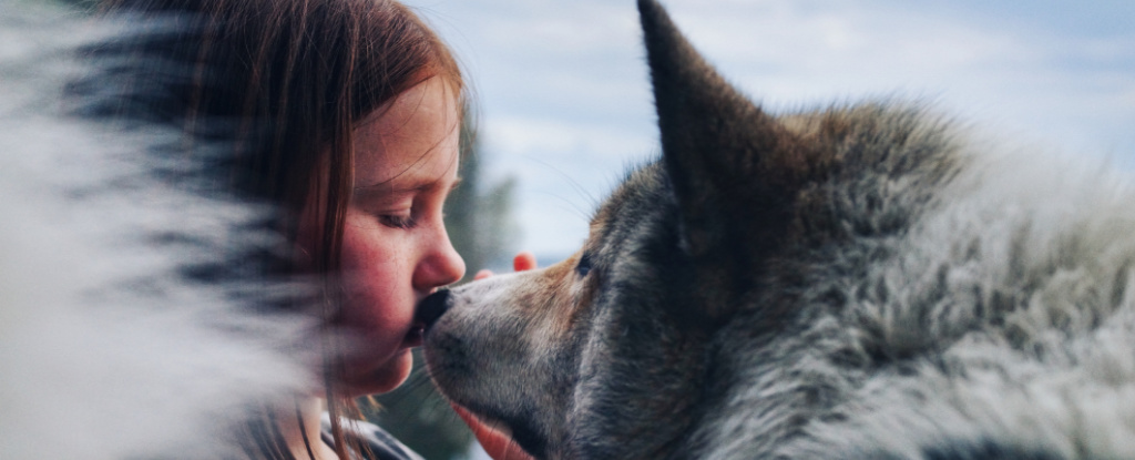 Oldest Known Dog Bone Hints Our Best Friends Were With Us Earlier Than Thought : ScienceAlert Oldest Known Dog Bone Hints Our Best Friends Were With Us Earlier Than Thought : ScienceAlert
