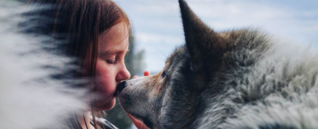 El hueso de perro más antiguo que se conoce sugiere que nuestros mejores amigos estuvieron con nosotros antes de lo que se pensaba: Heaven32