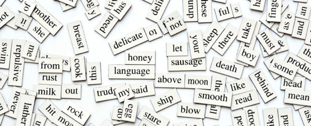 A jumble of word magnets on a white surface.