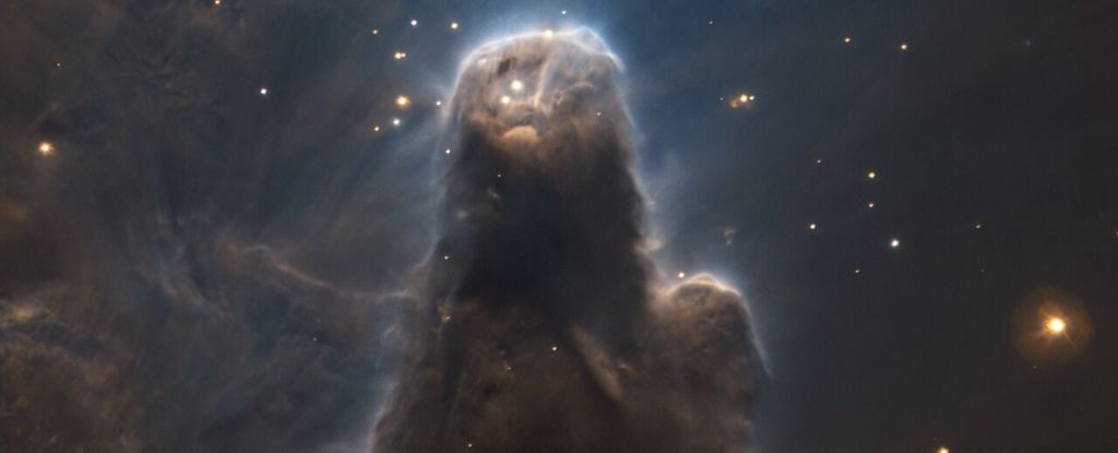 이 놀라운 암흑 성운은 별을 바라보는 우주 파수꾼처럼 보입니다: ScienceAlert
