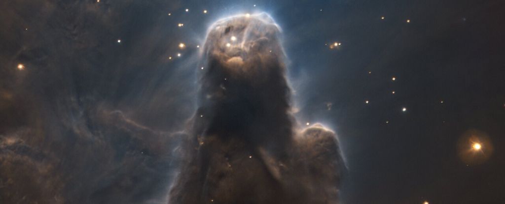 This stunning dark nebula looks like a cosmic sentinel watching the stars: ScienceAlert