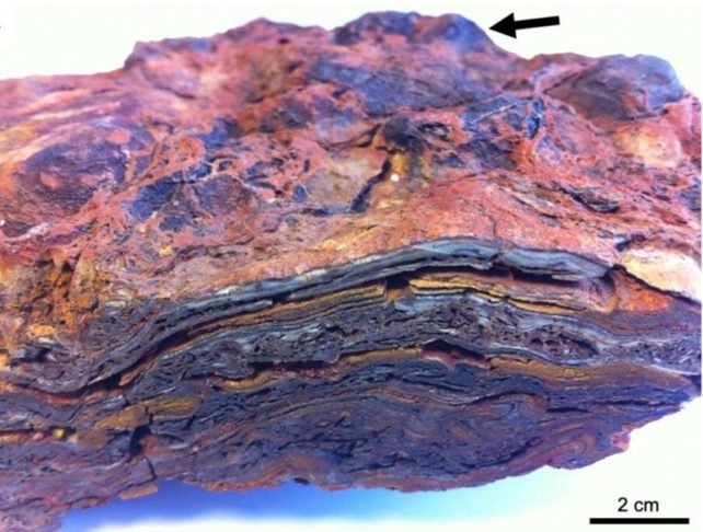 Bilim İnsanları, Bu Gizemli Kayaların Dünya Üzerindeki Yaşamın En Eski Kanıtı Olduğunu Söyledi : ScienceAlert