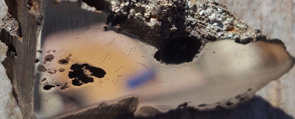 Two Minerals Never Seen Before in Nature Discovered In an Asteroid That Fell to Earth - ScienceAlert
