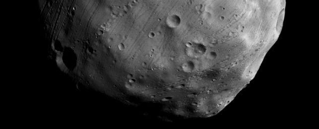 a grayscale image of the cratered, lumpy surface of phobos