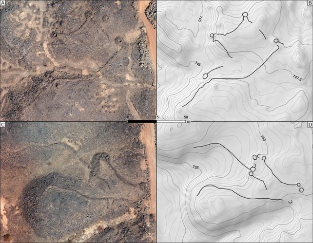 Complex Desert Kites