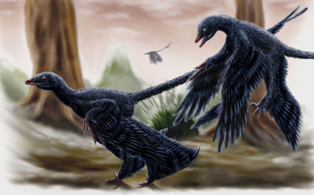 Ilustración de dos Microraptors