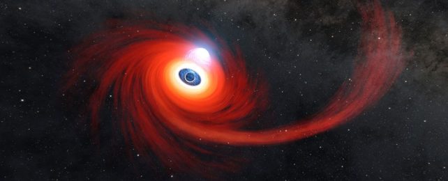 Astronomers Just Got an Unusually Close Look At a Black Hole Devouring a Passing Star
