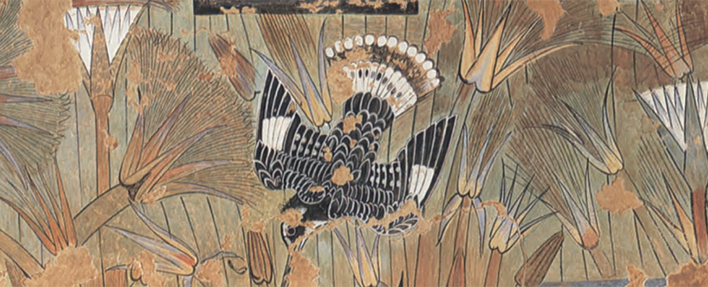 Birds in Ancient Egyptian Paintings Show Artists May Have Twisted The Truth