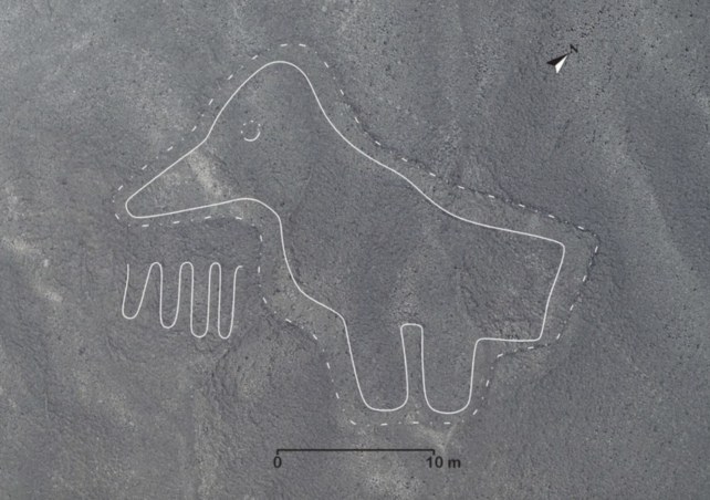 Bird Geoglyph