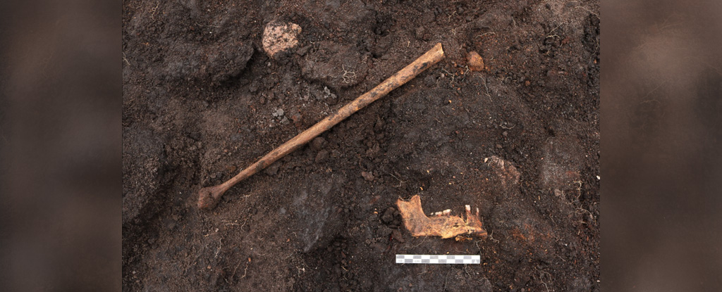 Skeletal remains, including a femur and a jaw bone, in dirt.