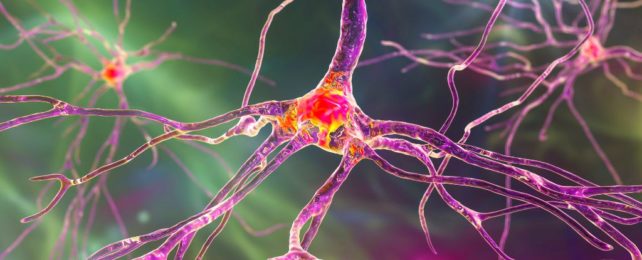 Severe COVID Looks Scarily Like Old Age in The Human Brain, Study Finds