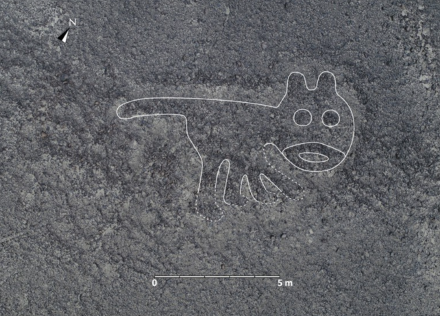 Cat-like Geoglyph
