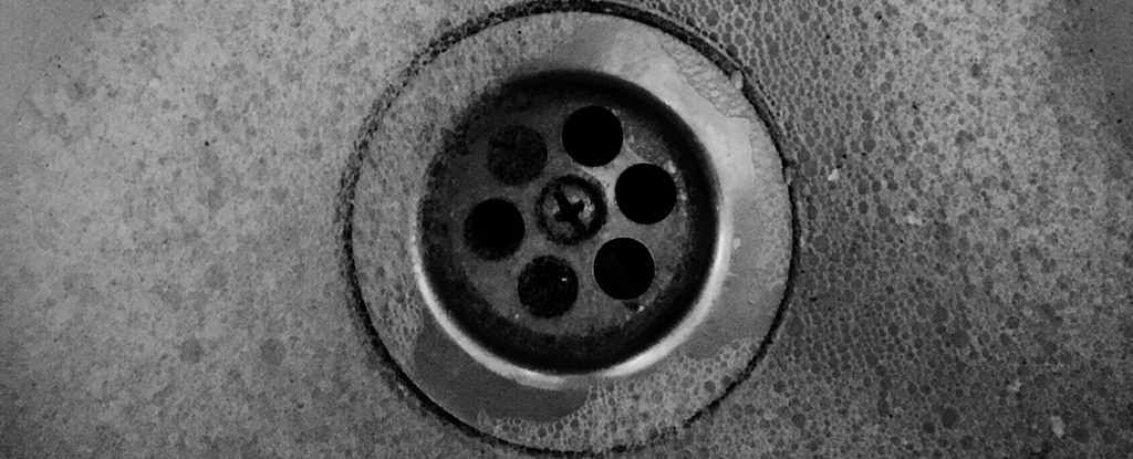 The Hidden Things Lurking in Sink Drains Can Be Dangerous, Even Deadly