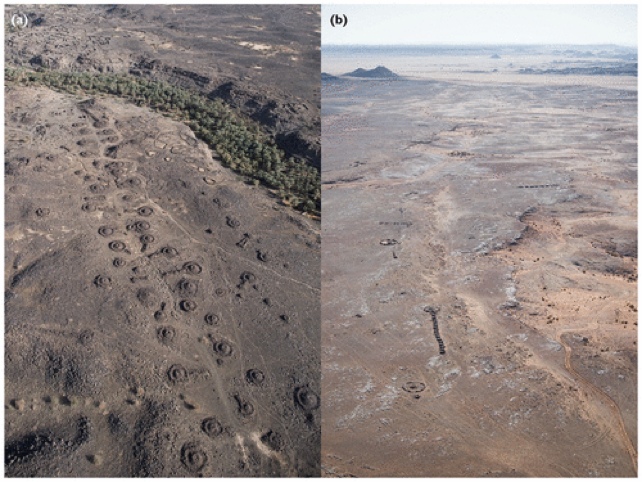 Mysterious Patterns Span The Arabian Desert, And We May Finally Know Why DesertKites3