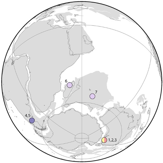 Mapa mostrando a localização de fósseis de mamíferos tribosfênicos encontrados nos continentes do sul que compunham Gondwana.