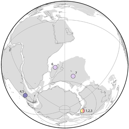 Karte mit Fundorten von Fossilien tribosphenischer Säugetiere, die auf den südlichen Kontinenten gefunden wurden, die Gondwana bildeten.