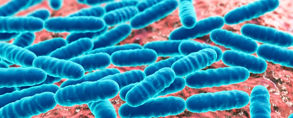 Photo of Bacteria Inside