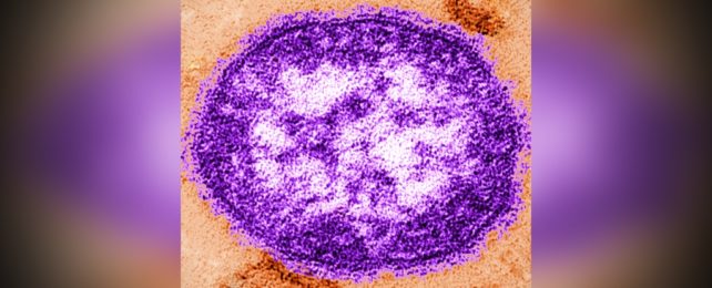 Measles Virus Particle