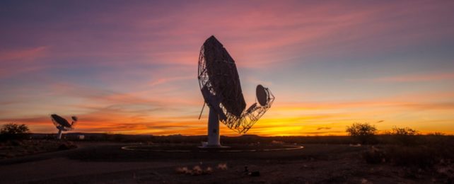 MeerKatArray Telescope At Sunset