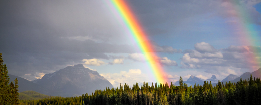 A rainbow stretches over a forest.