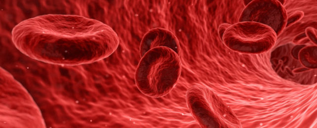 An illustration of red blood cells flowing through a blood vessel.