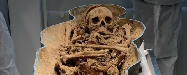 Sawn Off Skull Found in Mystery Notre Dame Coffin Hints at The Life of a Nobleman