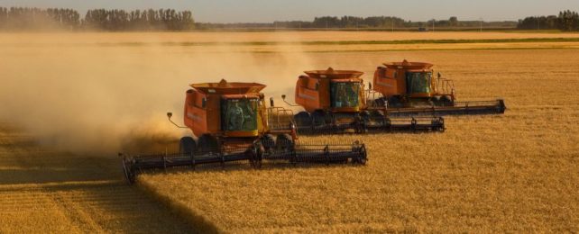​​US Soil Could Be Eroding Up to 1,000 Times Faster Than It Should