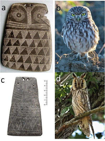 Two slate carvings resembling owls shown alongside pictures of two owl species.