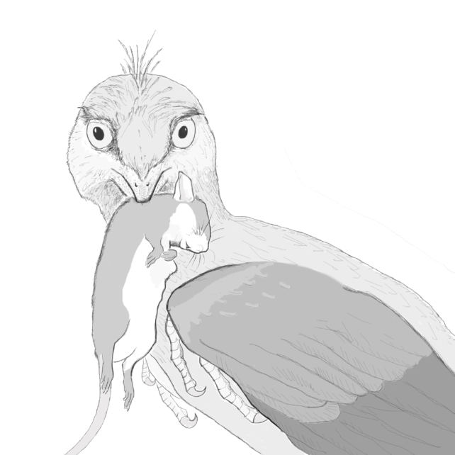 Ilustración de un Microraptor y un roedor